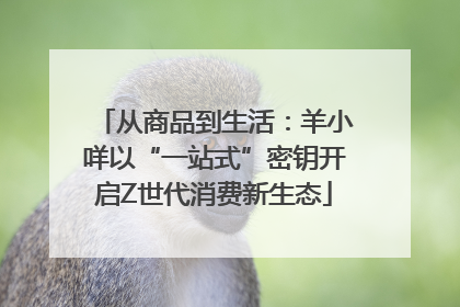 从商品到生活：羊小咩以“一站式”密钥开启Z世代消费新生态
